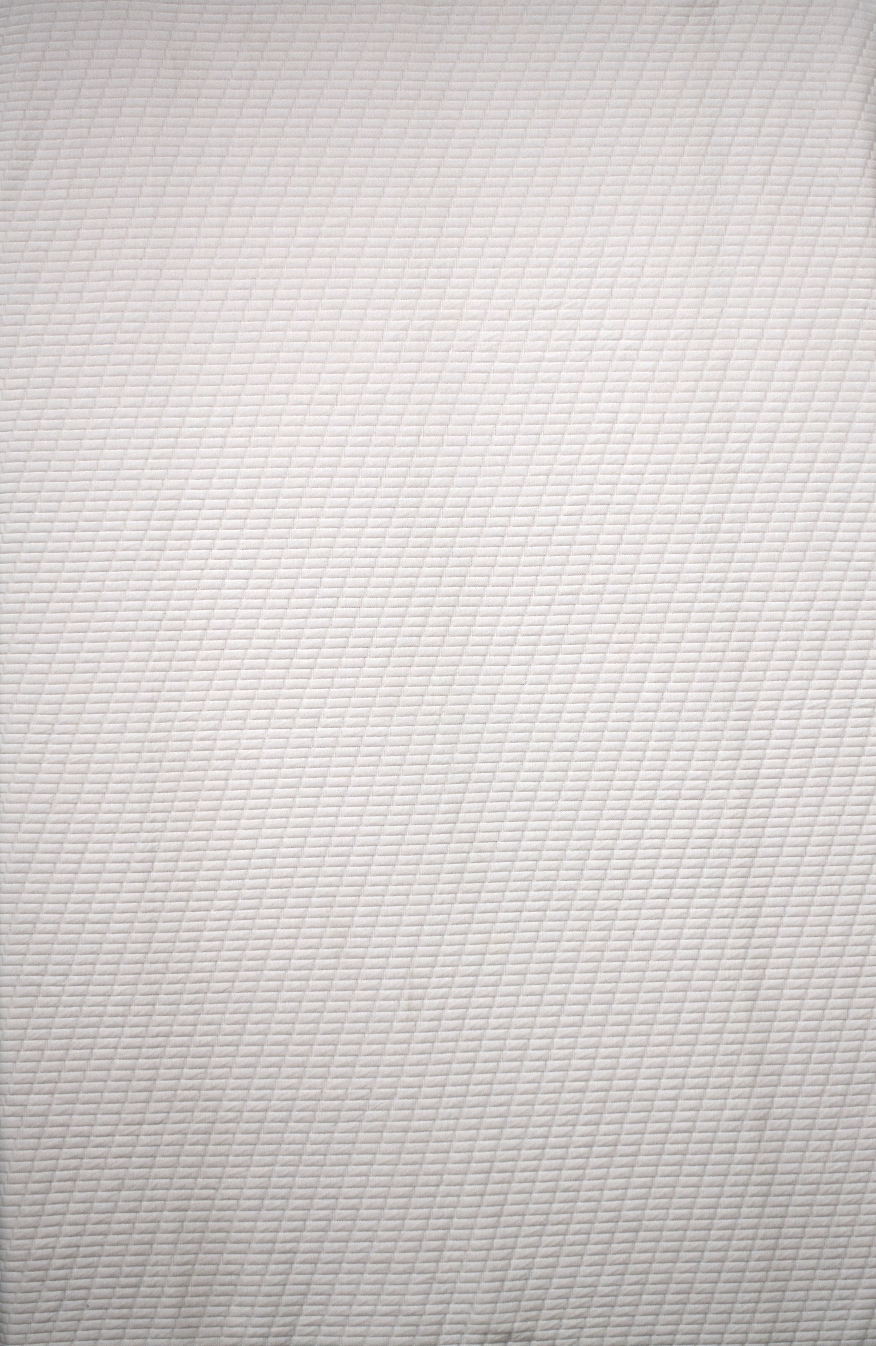 photo-350-2